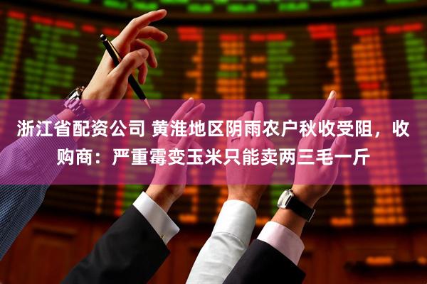 浙江省配资公司 黄淮地区阴雨农户秋收受阻，收购商：严重霉变玉米只能卖两三毛一斤