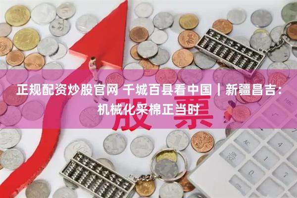 正规配资炒股官网 千城百县看中国｜新疆昌吉：机械化采棉正当时