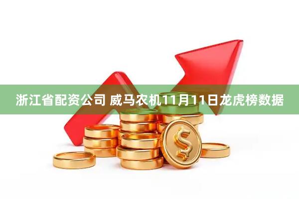 浙江省配资公司 威马农机11月11日龙虎榜数据