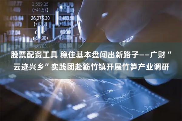 股票配资工具 稳住基本盘闯出新路子——广财“云迹兴乡”实践团赴簕竹镇开展竹笋产业调研